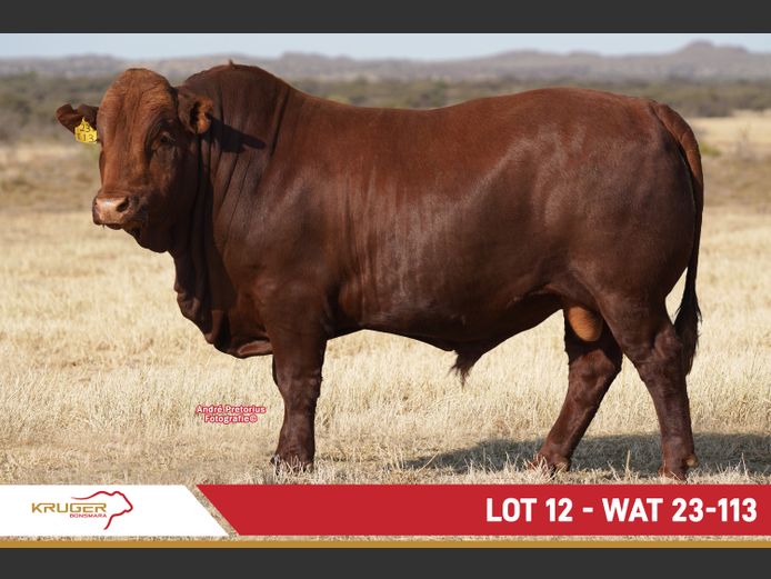 WAT230113 | KRUGER BOERDERY