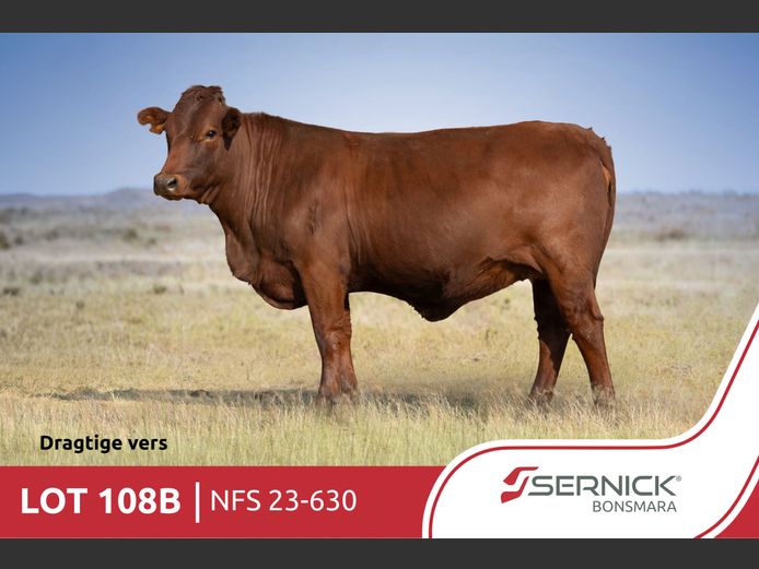 NFS 230630 | SERNICK BONSMARA STOET