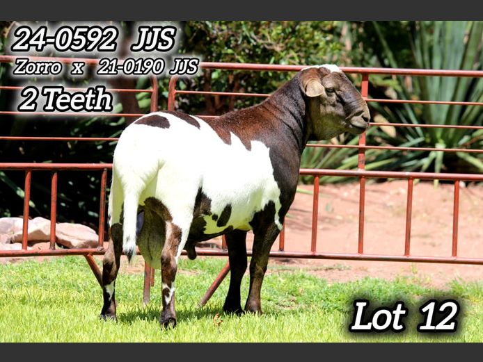 24-0592 JJS | KAMEELHOEK MEATMASTERS