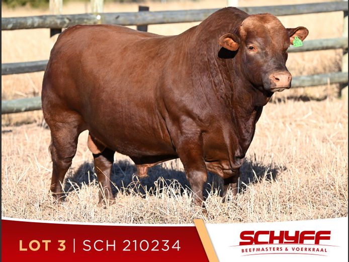 SCH 210234