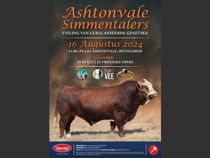 ASHTONVALE SIMMENTALERS VEILING