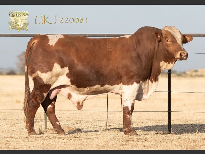 UKJ 220081