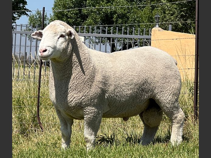 JB 24 0126 | J.A BARNARD