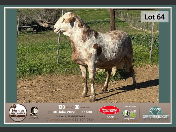 SB 007 | Tiaan Lourens - Meiringspoort Meatmasters