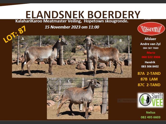 RSL 87 C | ELANDSNEK BOERDERY