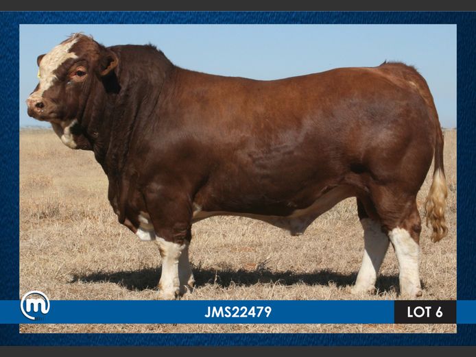 JMS22479