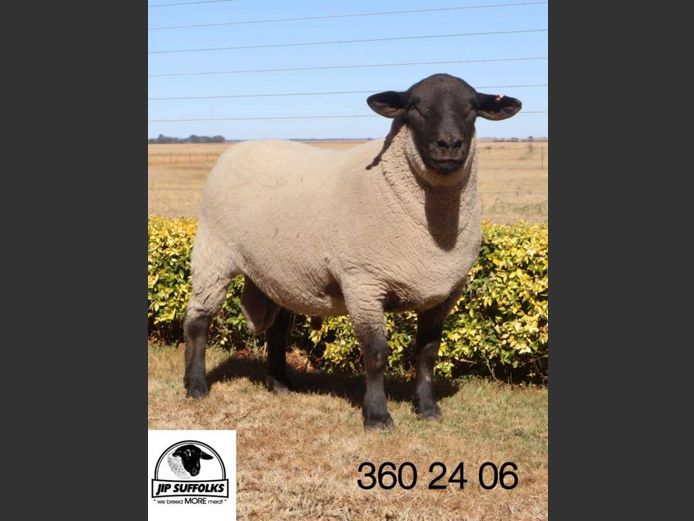 360240006 | J.I. POTGIETER