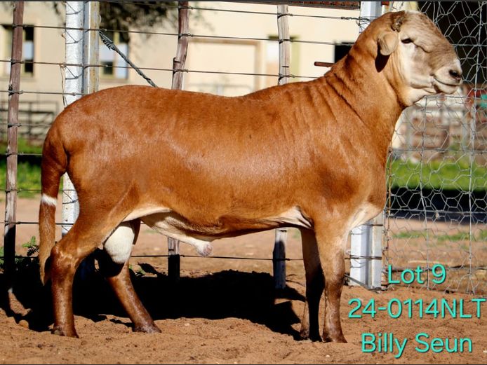 24-0114NLT | LEKWATER