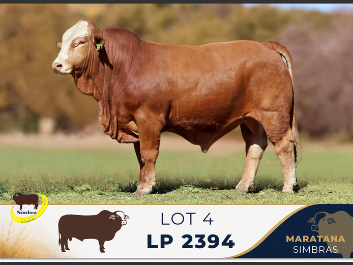 LP2394 | MARATANA BOERDERY (PTY) LTD