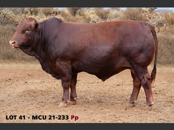 MCU21-0233
