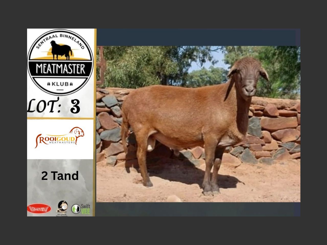 Lot R3 | SENTRALE BINNELAND MEATMASTER KLUBVEILING | SwiftVEE ...