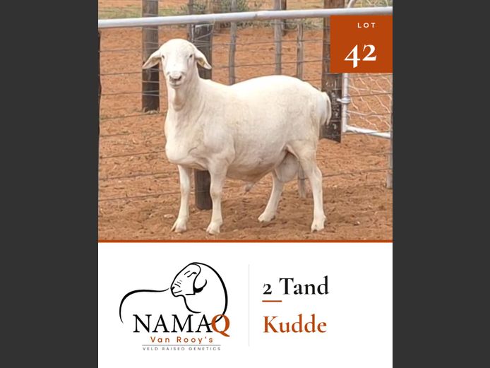 NAMAQ VAN ROOY RAMME