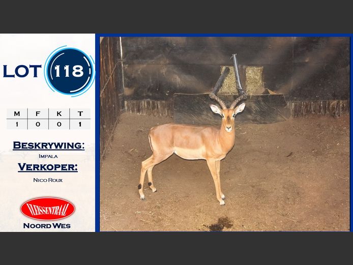 Impala
