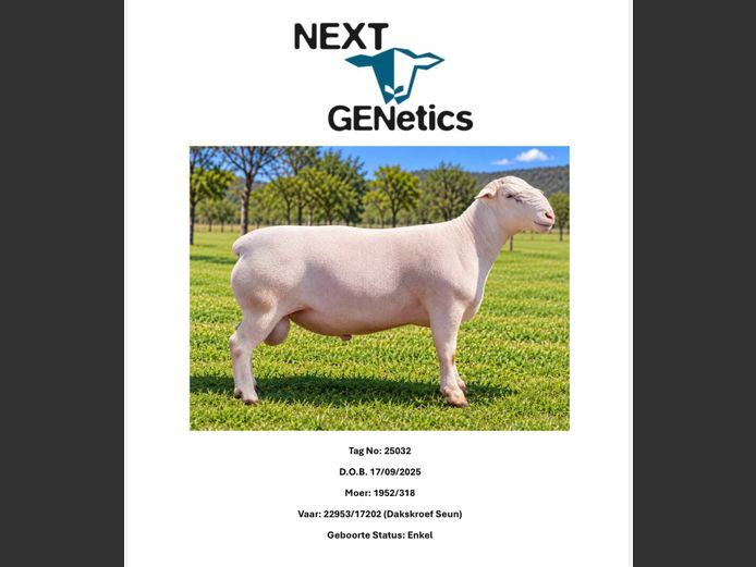 25032 | NEXT GENETICS WITDORPERS