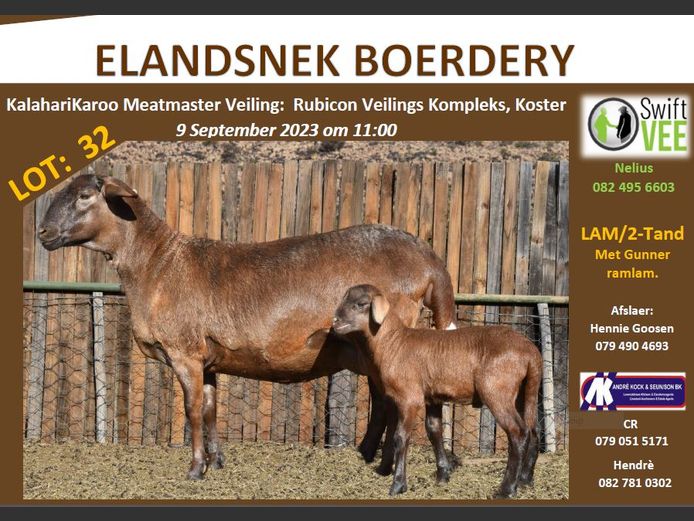 RSL 32 | ELANDSNEK BOERDERY