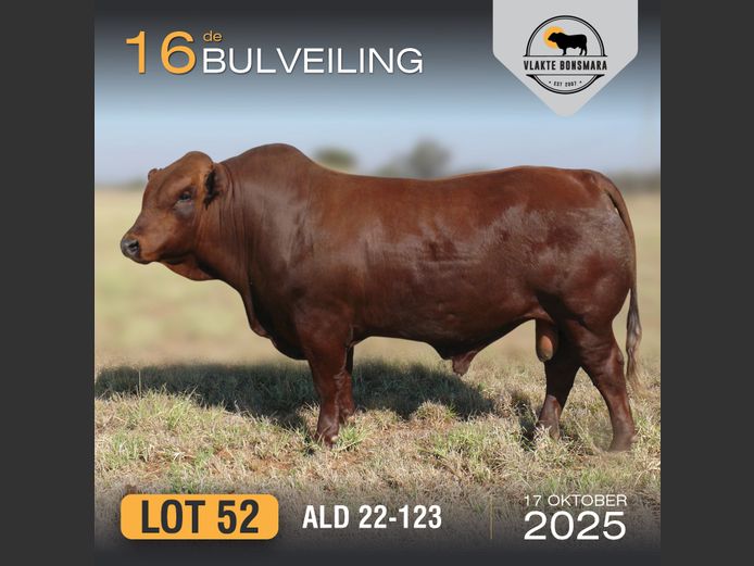 ALD 220123 | ALDIGO BONSMARAS