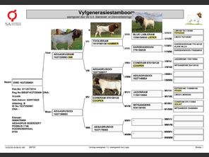 genetic_data