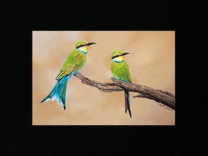 images