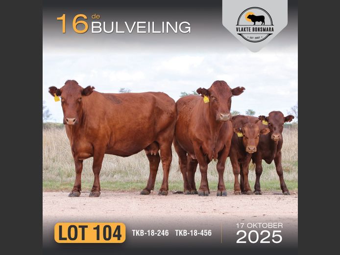 Commercial Animals | TKB BONSMARAS