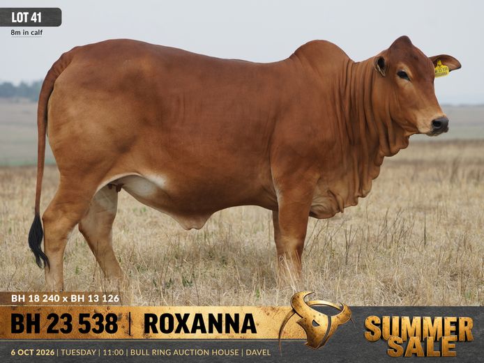BH230538 | B. HURWITZ FARMING