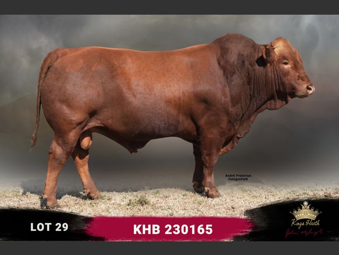 KHB 230165