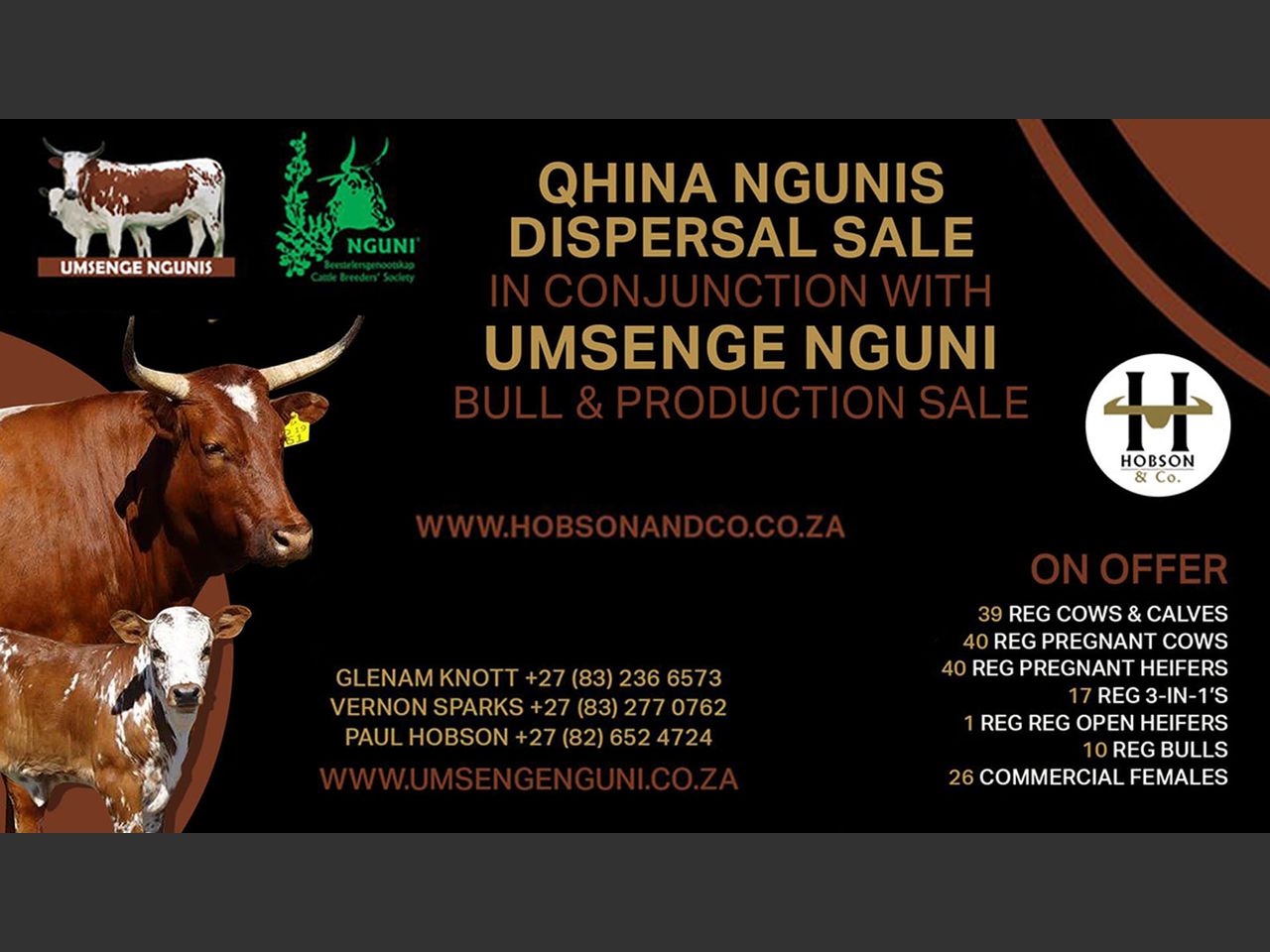 UMSENGE NGUNI & QHINA DISPERSAL SALE | SwiftVEE | South Africa’s ...