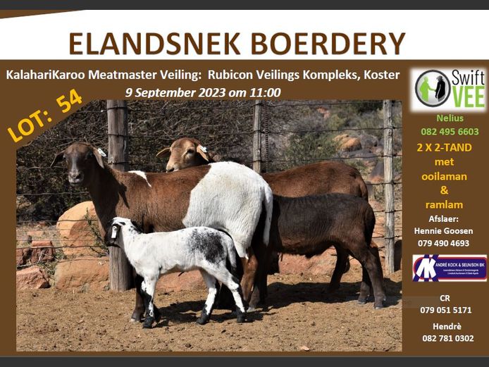 RSL 54A | ELANDSNEK BOERDERY