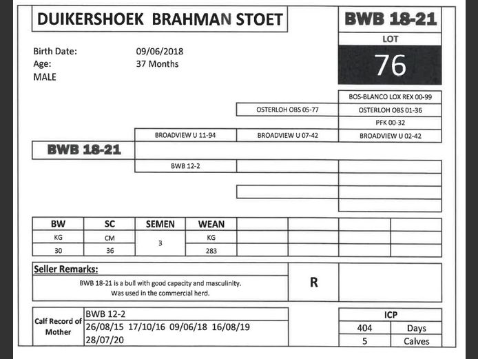 BWB 18-21