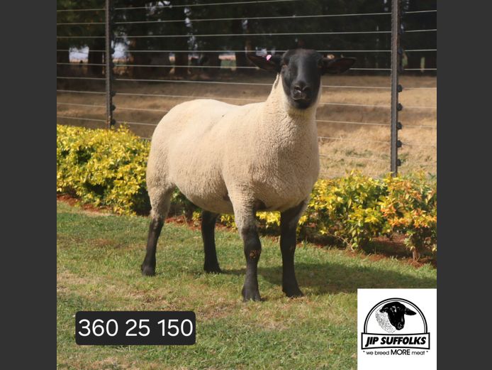360250150 | J.I. POTGIETER