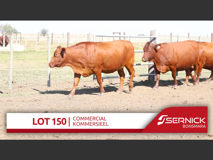 Commercial Animals