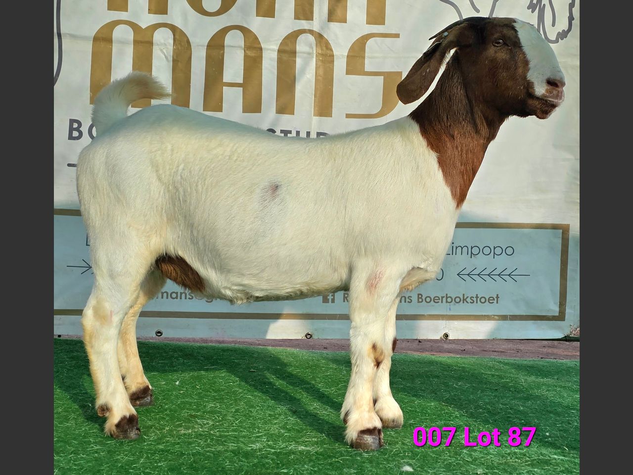 images