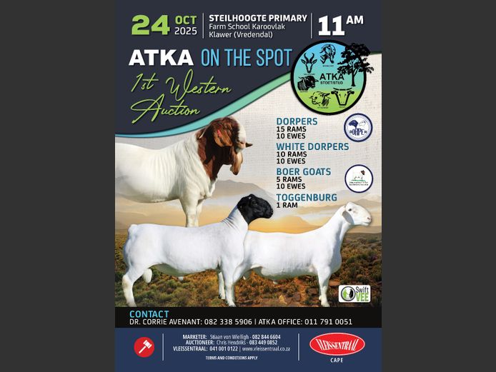 ATKA 1STE ON THE SPOT WESTELIKE VEILING