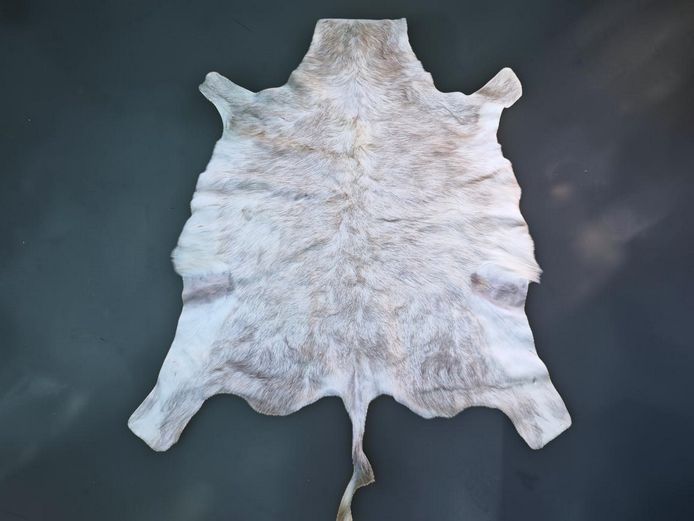 African Nguni Cowhide Hide Rug