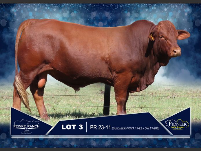 PR 230011 | PEINKE RANCH