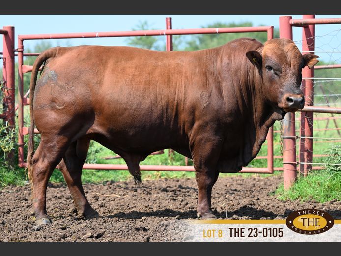 THE 230105 | J.A. PIENAAR