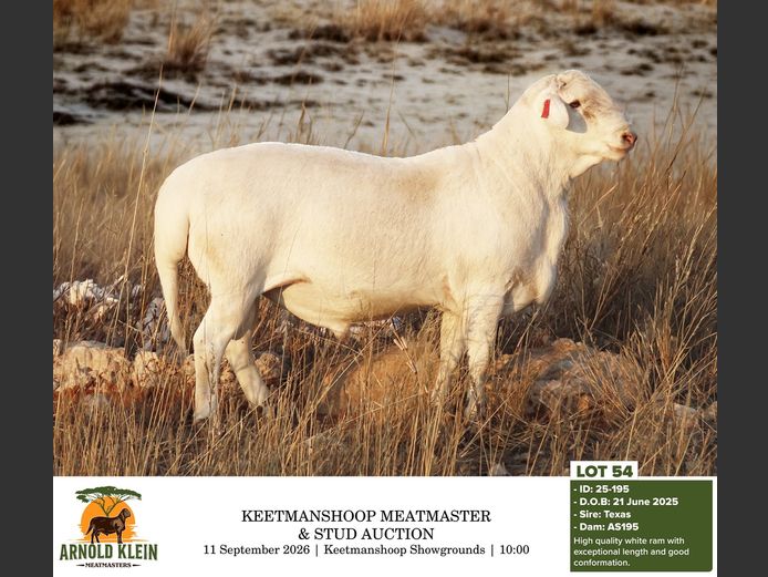 25-195 | Arnold Klein Meatmasters