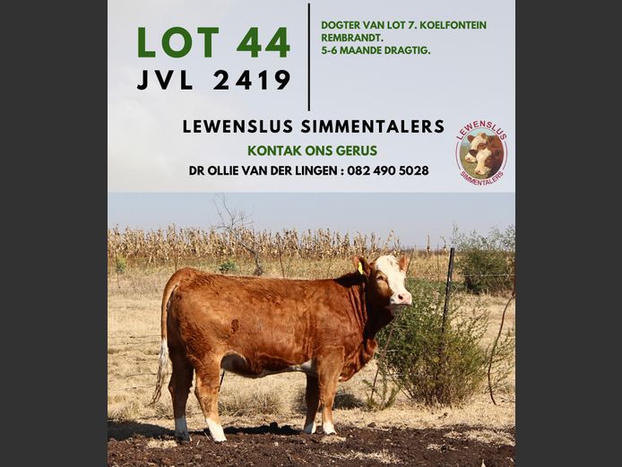 JVL2419 | DR JSH VAN DER LINGEN