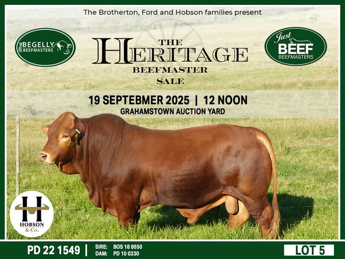 THE HERITAGE BEEFMASTER SALE