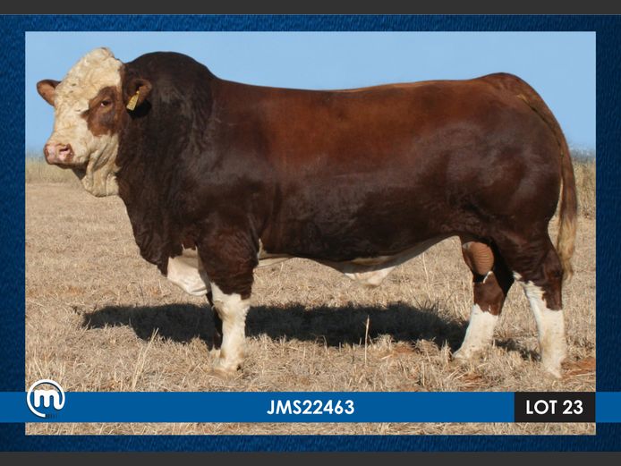 JMS22463 
