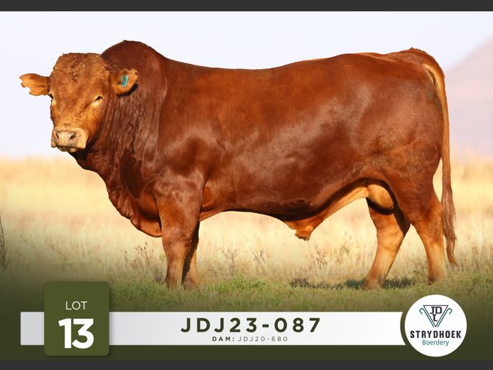 JDJ23-087 | Strydhoek