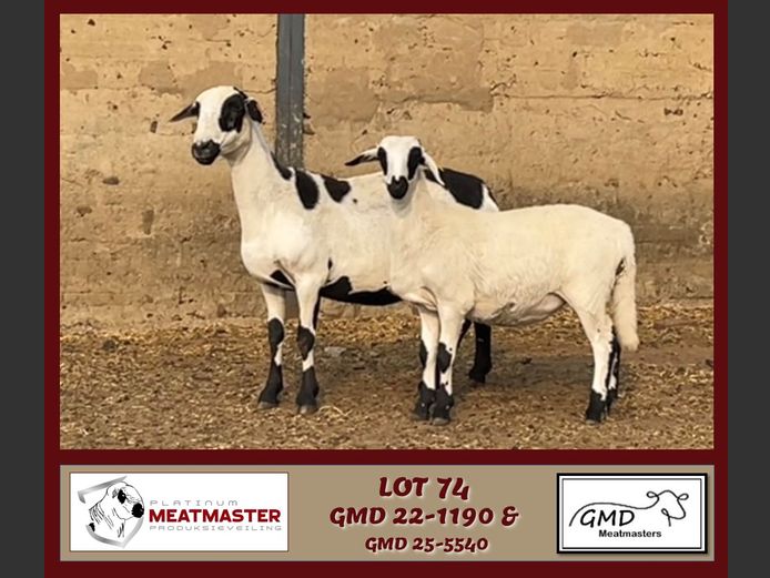GMD 22-1190 | Mike Greyling - GMD Meatmasters, Morgenzon