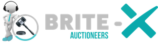 Properties BRITE-X