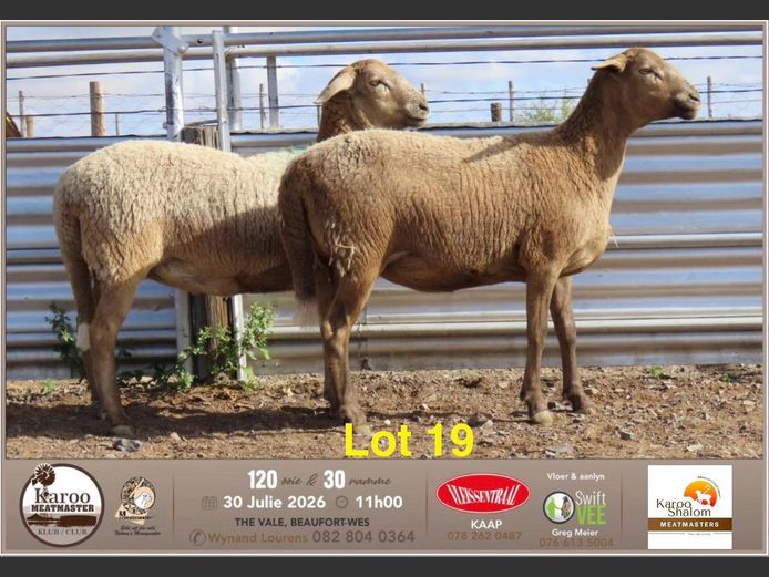 D25.291 | Jacques Strydom - Karoo Shalom Meatmasters