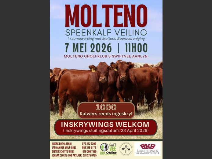 MOLTENO SPEENKALF VEILING