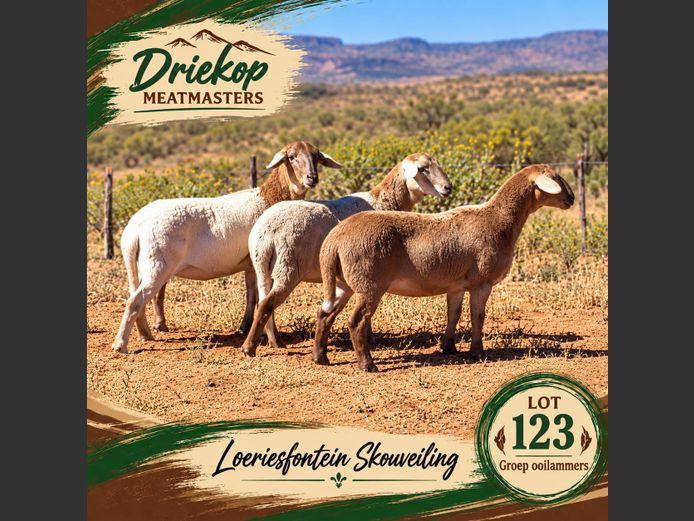 Driekop Meatmasters