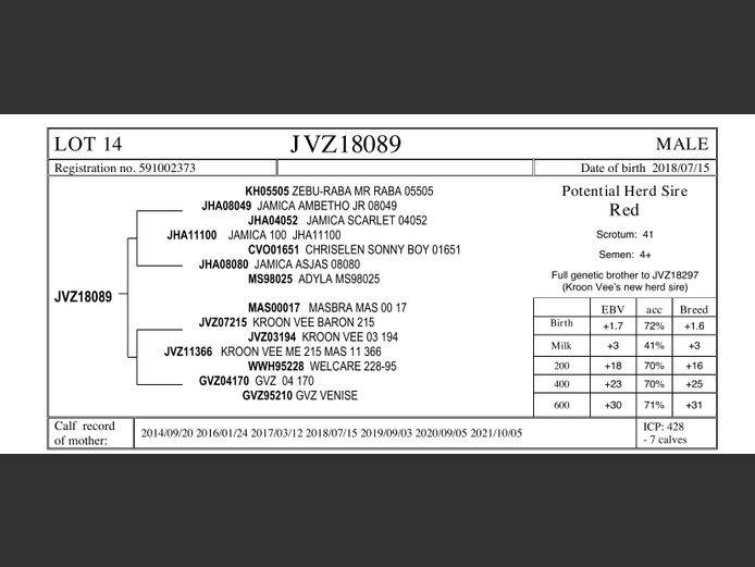 JVZ18-89