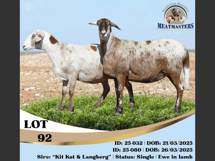 25-032DPIV | 25-080DPIV | SAAMSTAAN BOERDERY MEATMASTERS