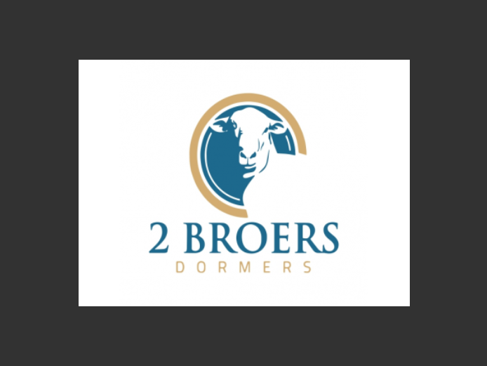 Ewes | TWEE BROERS DORMER STOET