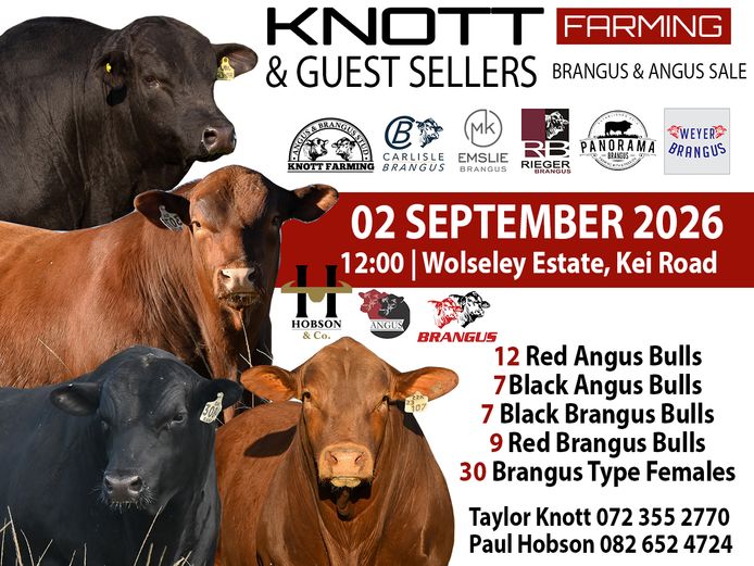 KNOTT FARMING BRANGUS & ANGUS BULL & PRODUCTION SALE