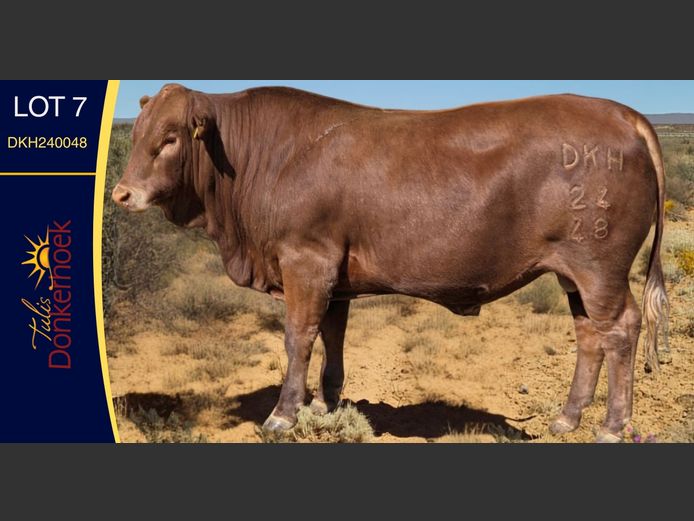 DKH240048 | DONKERHOEK BOERDERY TRUST